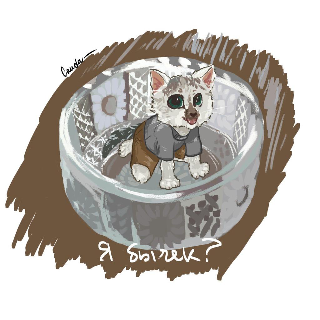 cauda71463's tweet photo. #art #furryarts #Memes #cat https://t.co/yZ2mjHMFZD