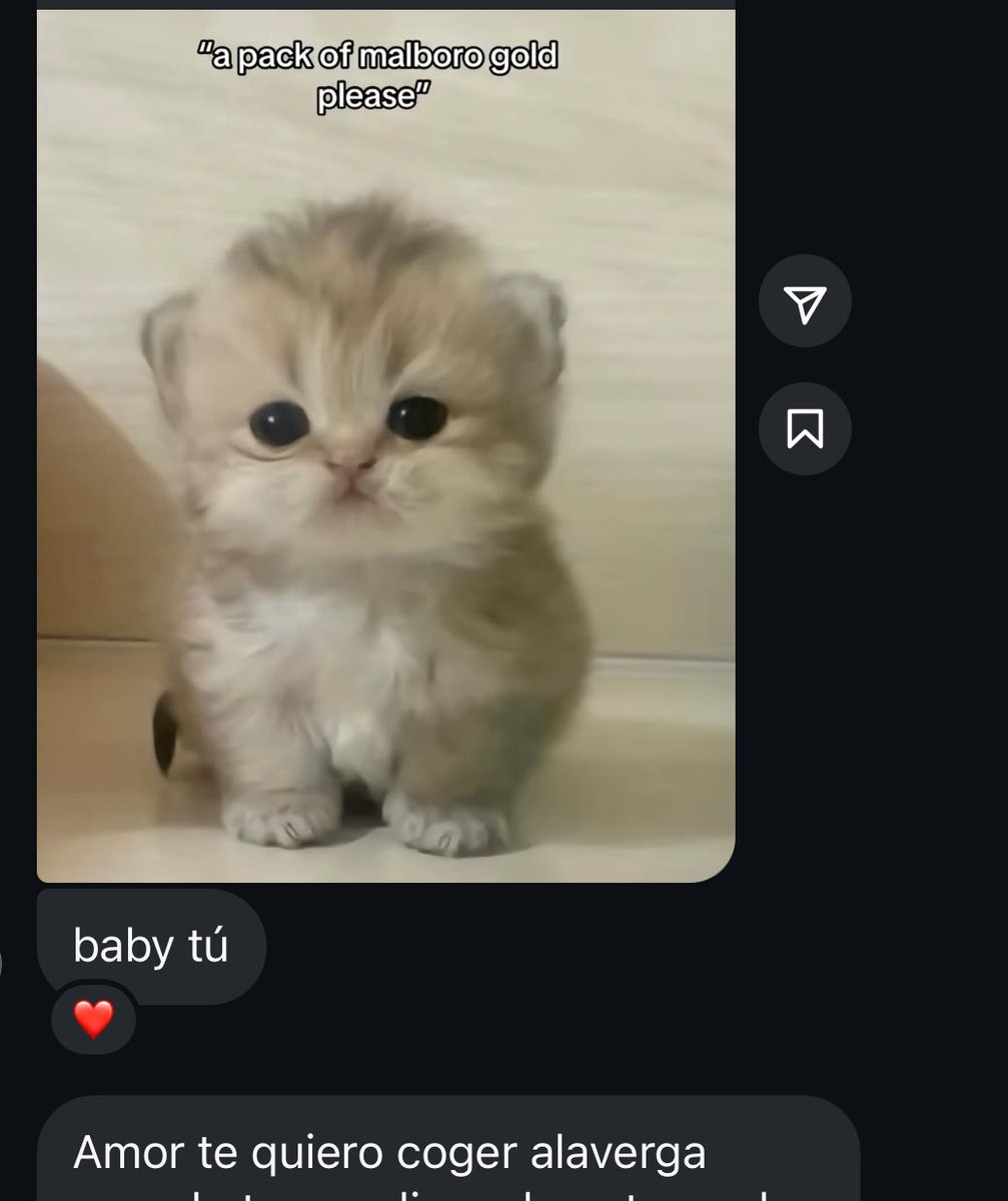 مايون (@cherryyblunt) on Twitter photo 