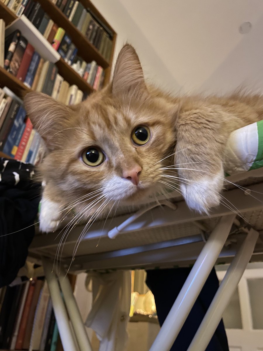 Šķirsimies! Neatkarīga izmeklēšana atklāja, ka Zane uztur slēptu garneļu fondu, kam nenodrošina brīvu pieeju. Jautājums par teātriem (un vai tur ir kaķi) paliek atklāts. Visam ir robežas. Ceru, jūs piekritīsiet - dzīvoklis paliek man, Zane var ņemt kaktusu