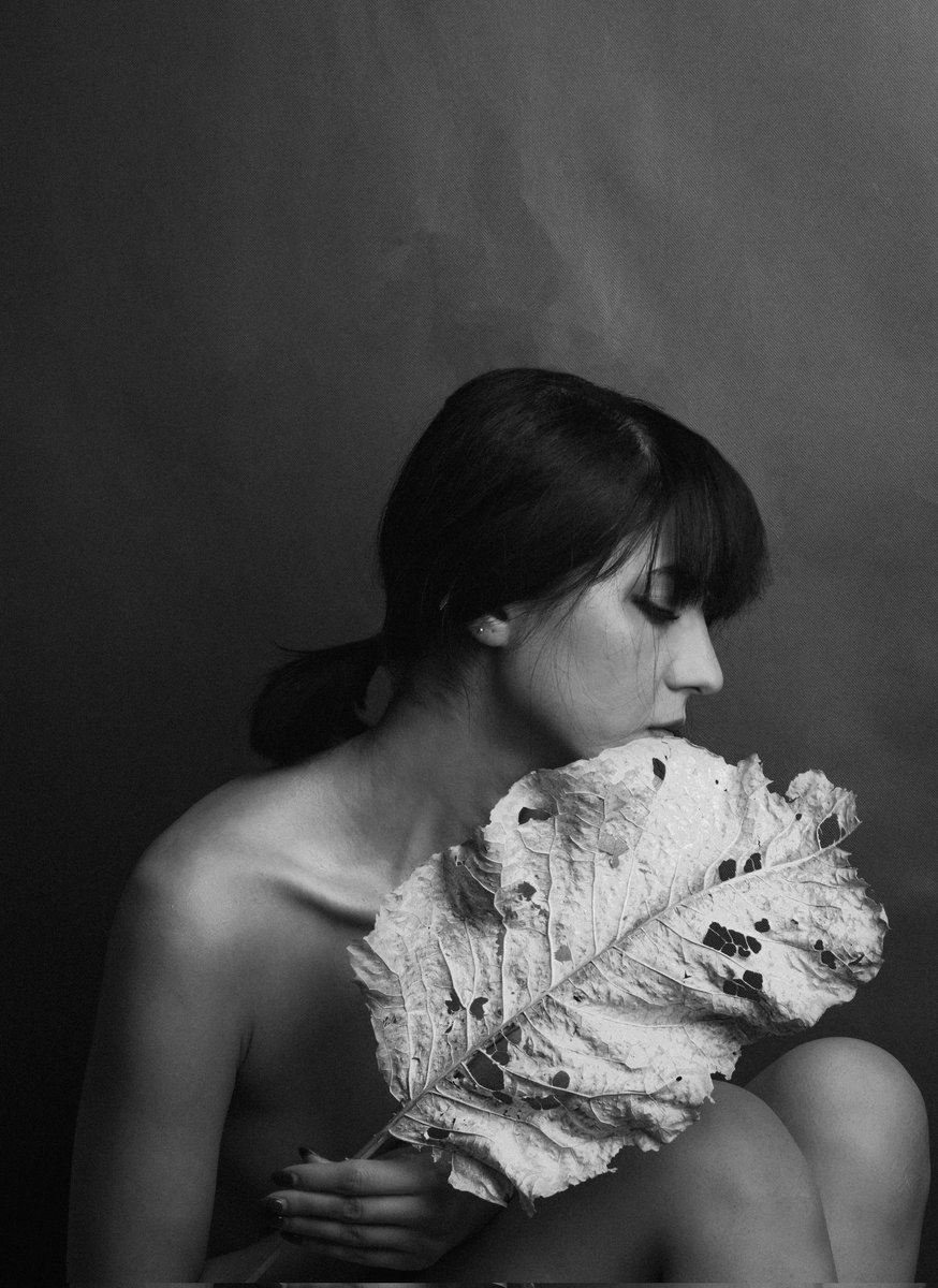 .Kitsu.Sun tweet media