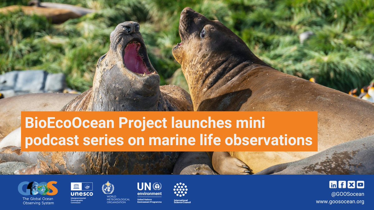 GOOSocean's tweet image. 🎙️ The @BioEcoOcean Podcast is here!
Episode 1, created with GOOS, features our experts Clive McMahon and Lina Mtwana Nordlund who discuss the importance of biodiversity observations and global collaboration for better ocean management.
🔊 Listen now: bit.ly/4lbpCI3