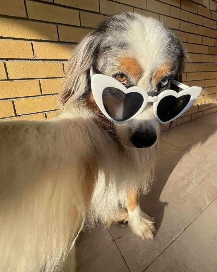 Larry Dragospiro tweet media