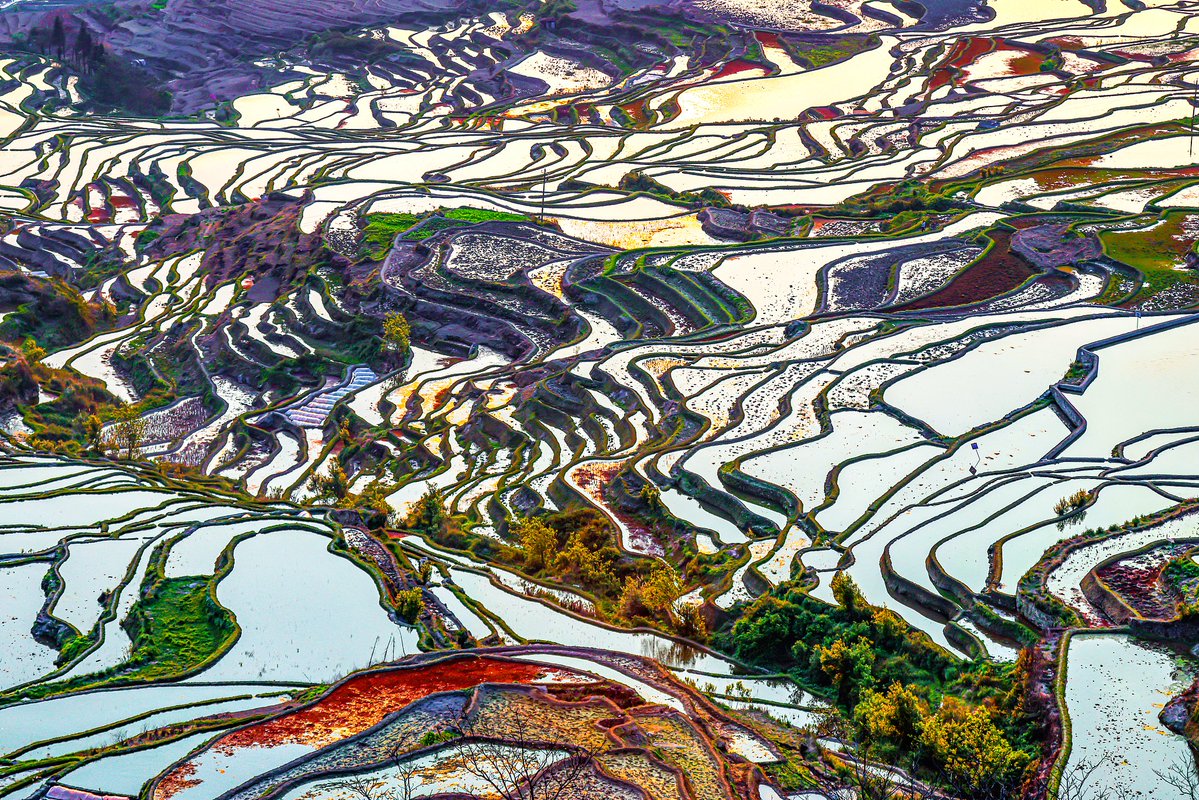 CGTNOfficial's tweet image. 🇨🇳🇮🇳 Celebrating 75 years of China-India ties — the two countries, rich in culture and natural beauty.  

📍Amber Fort in Jaipur, where history meets grandeur 
📍Hani Terraces in Yunnan, a living landscape of art and tradition