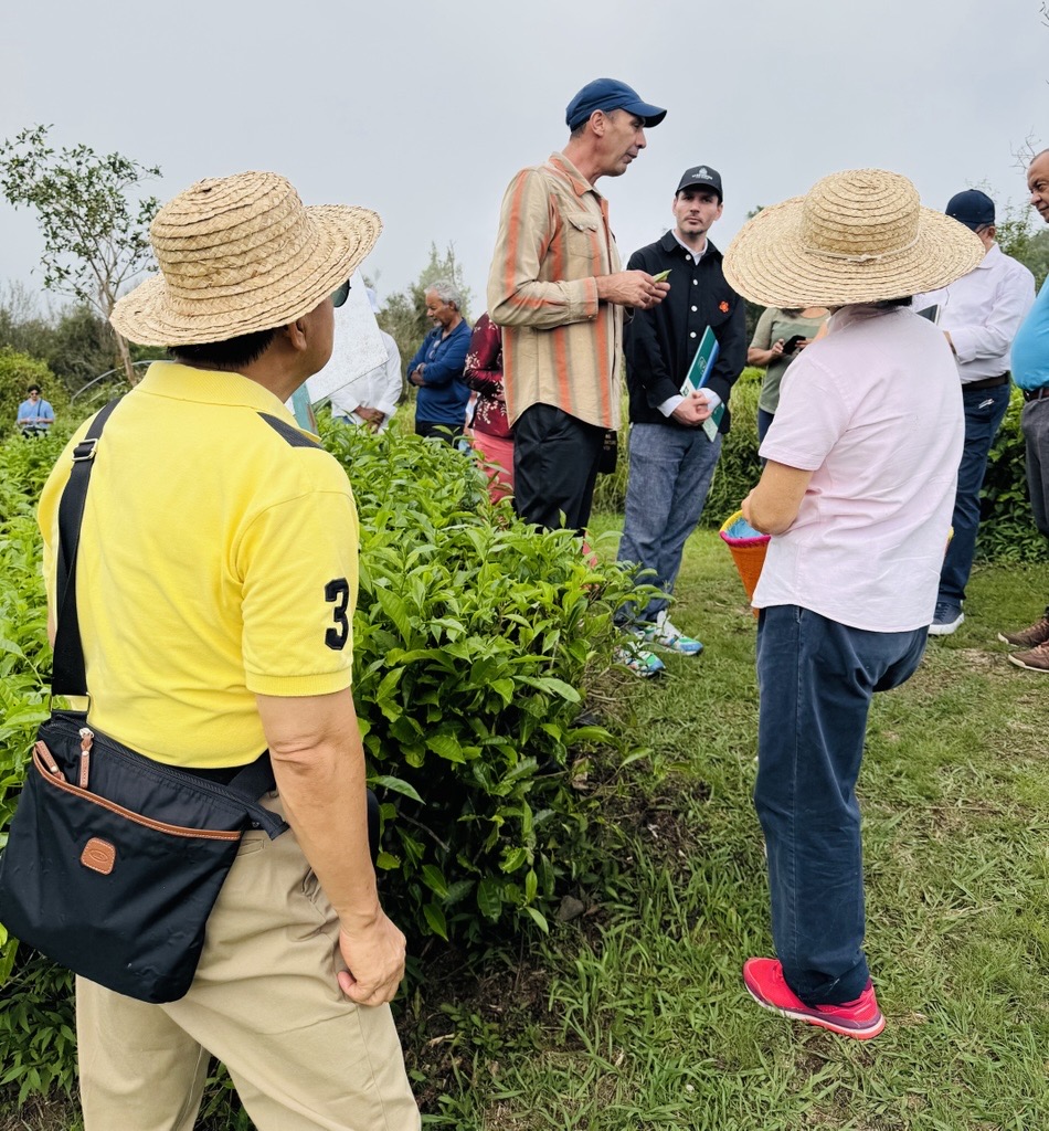 4 membres de l'UNESCO découvrent l’exceptionnelle plantation de thé de Grand Coude #LaReunion #gotoreunion #tourisme <a href="/UNESCO/">UNESCO 🏛️ #Education #Sciences #Culture 🇺🇳</a> bit.ly/3Hr7nwK