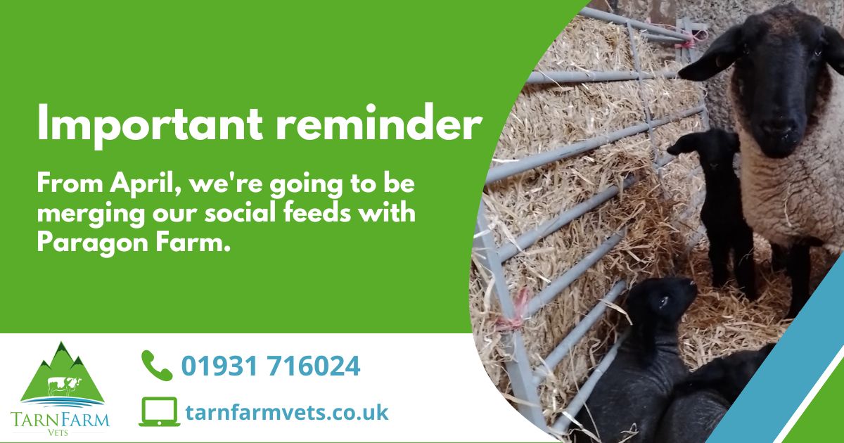 tarnfarmvets tweet media