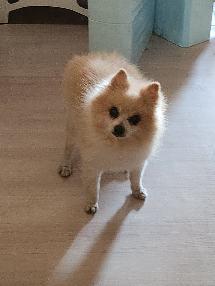 minaclenight's tweet image. #AprilFoolsDay #만우절