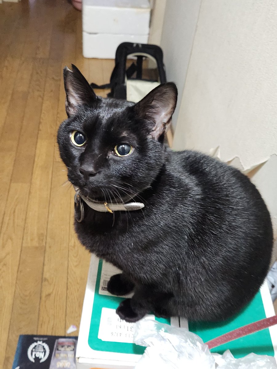 minaclenight's tweet image. #AprilFoolsDay #만우절