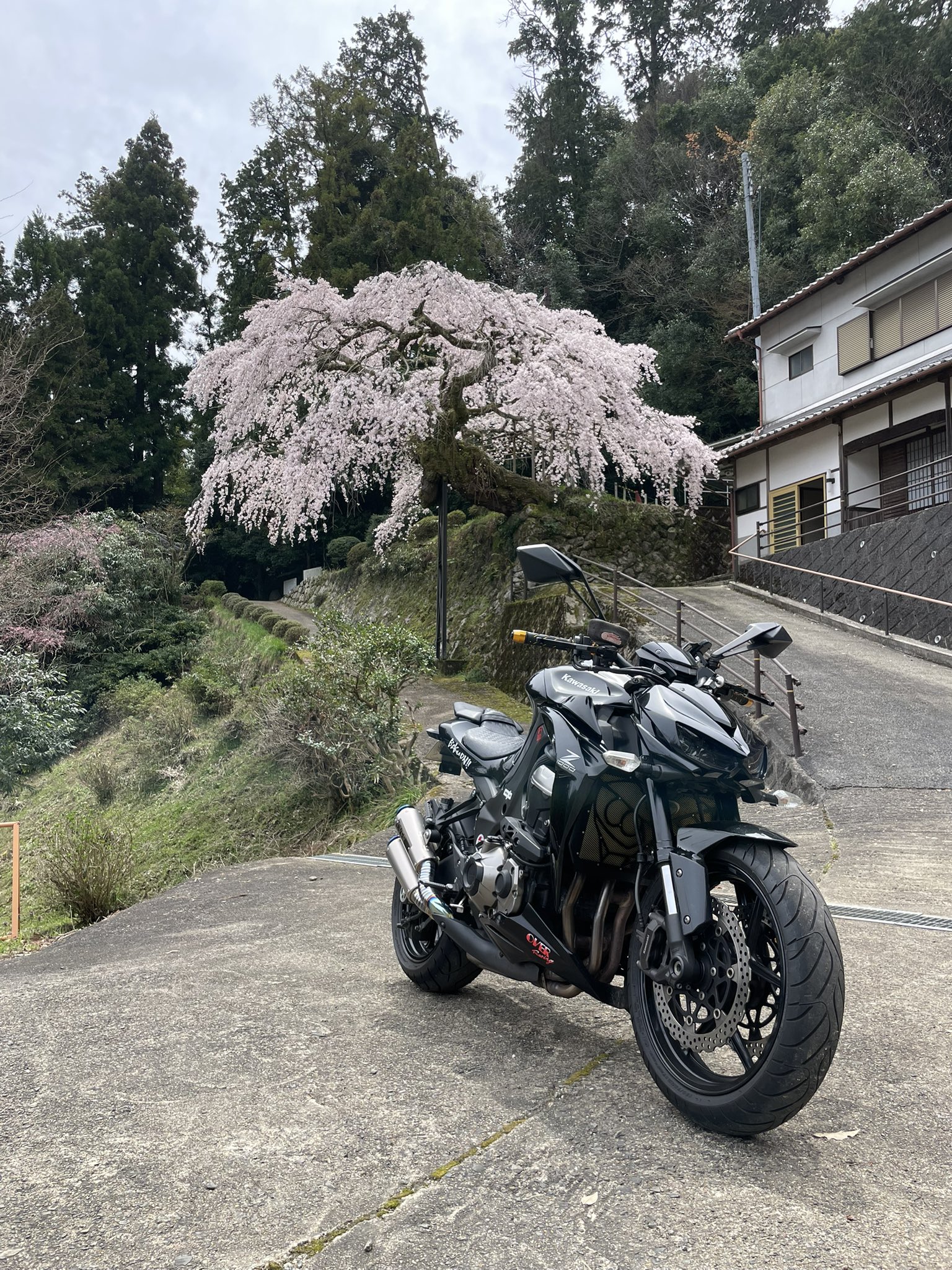 Saruたひこ 284?cb=20190504004006