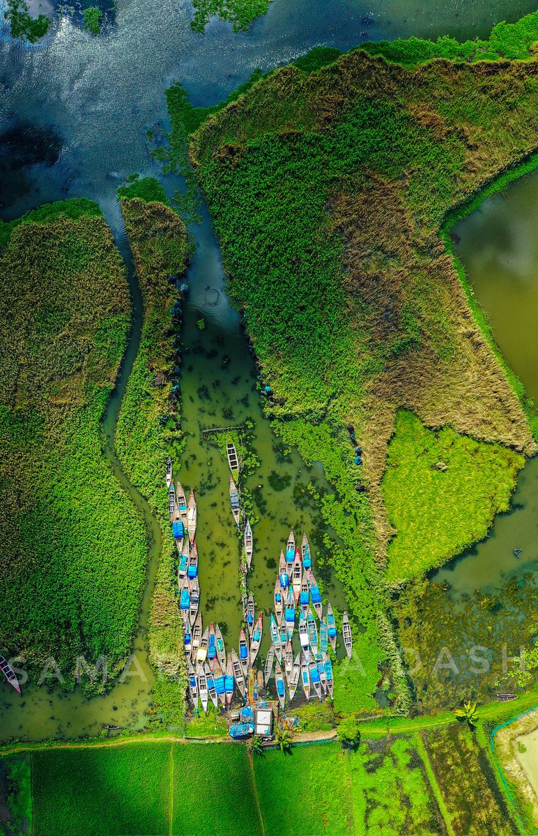 SAMARENDRA1791's tweet photo. Wings of water, whispers of wind... the wetlands' symphony, as seen from above.
Aerial ballet, danced by reeds and ripples... the wetlands' beauty, choreographed by nature.
Beautiful chilka lake.

Through my lens.
@odisha_tourism
#wetlands
#chilka
#odishaskeptsecret
@TourismDptt https://t.co/UitI1Cz09n