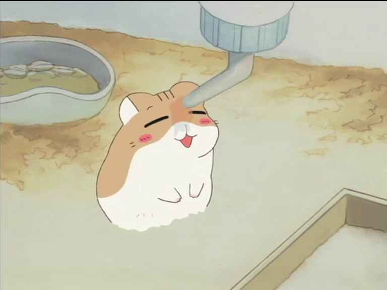 ハムスター俱楽部のプーちゃん Pu-chan, the third hamster of the
