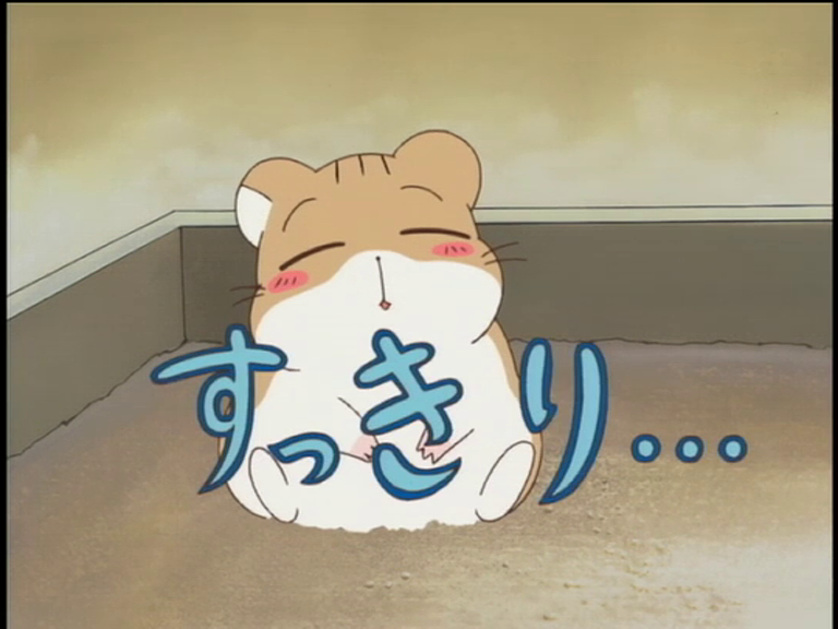 ハムスター俱楽部のプーちゃん Pu-chan, the third hamster of the