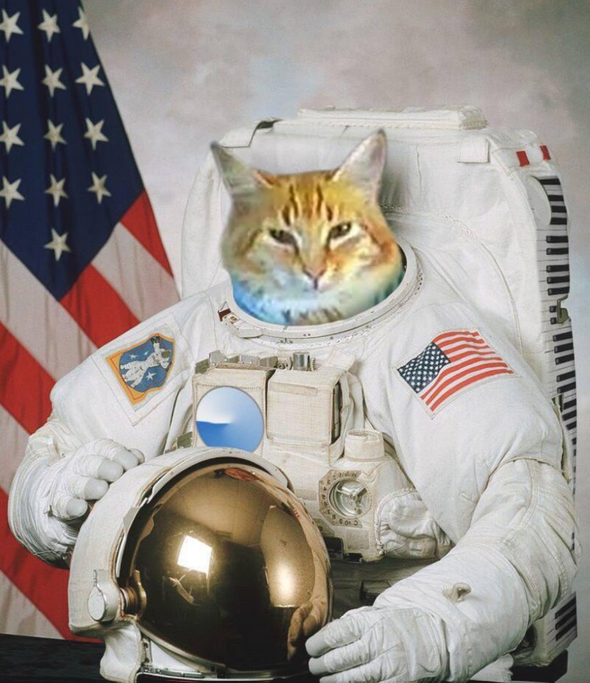 Vigilant Vigilante ^^ tweet media