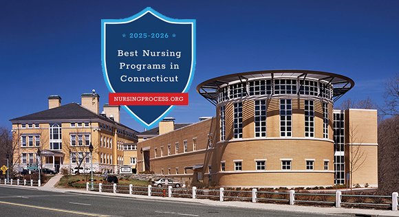 nursingprocess tweet media