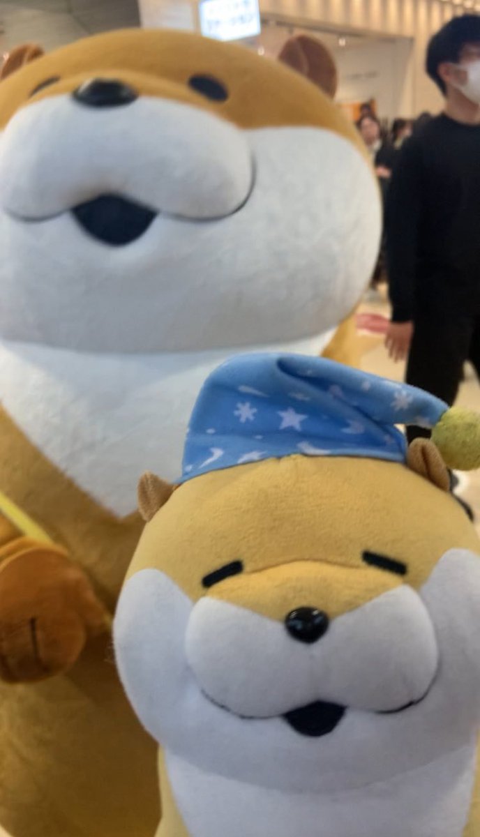 222_arata's tweet photo. - ̗̀ 4月1日 𝙷𝙰𝙿𝙿𝚈 𝙱𝙸𝚁𝚃𝙷𝙳𝙰𝚈  ̖́-

#ぬんぬんレコード 
#可愛い嘘のカワウソ https://t.co/03UJkPQa0v