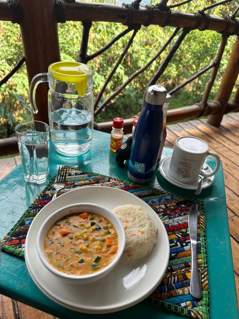 CTPH Gorilla Conservation Camp (@ctph_camp) on Twitter photo Lunch is served at <a href="/ctph_camp/">CTPH Gorilla Conservation Camp</a>! 😋 Tasty vegetable curry with carrot rice. This meal is known to boost energy, especially when refueling after an intense activity like gorilla trekking. Lunch is served at <a href="/ctph_camp/">CTPH Gorilla Conservation Camp</a>! 😋 Tasty vegetable curry with carrot rice. This meal is known to boost energy, especially when refueling after an intense activity like gorilla trekking.