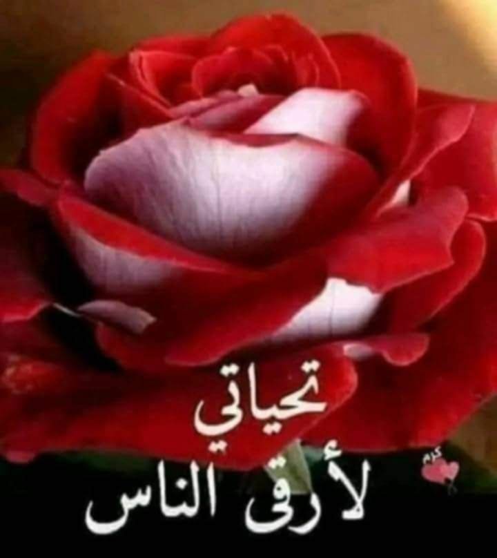 تحياتي
لأرقى الناس