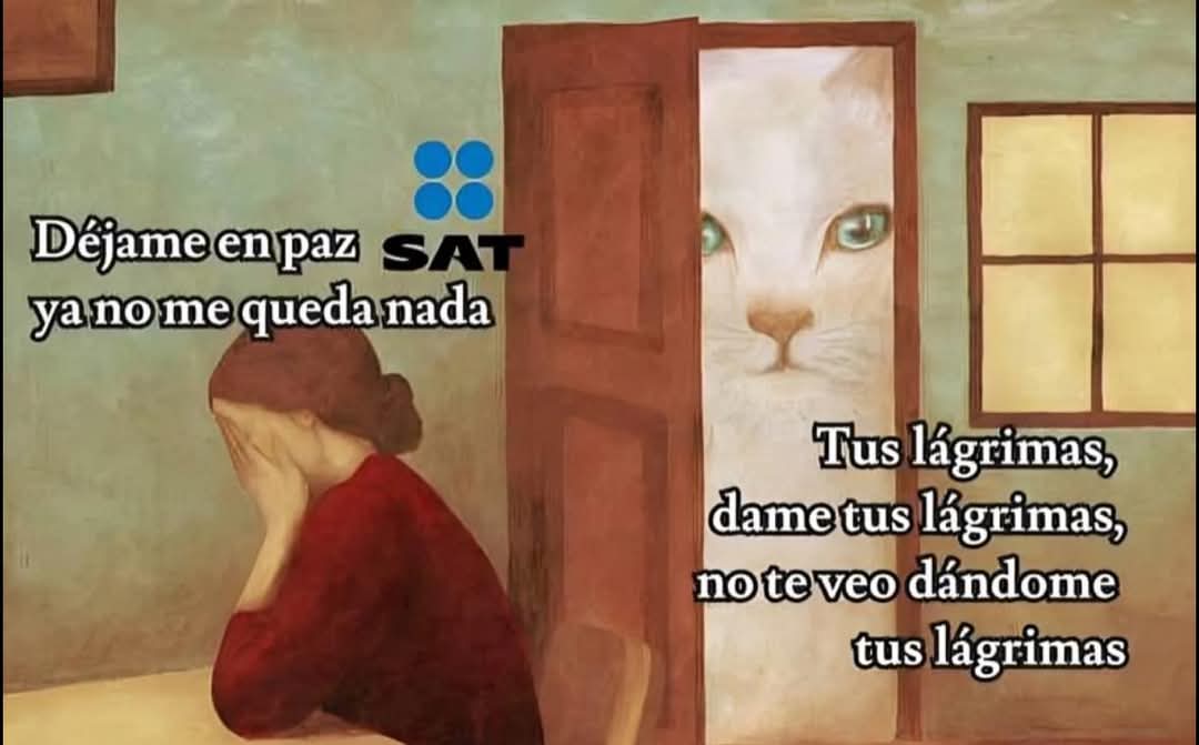 LaChinatriple's tweet photo. Hoy inicia abril... 
Mes de la declaración, mes del SAT 😐 https://t.co/LTlVNBAKGx