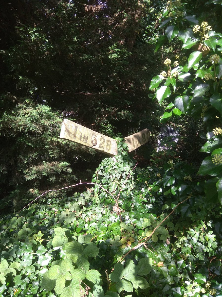 LdnTCompany's tweet photo. Rail Trail ๐๐ณ๐
#london #walking #londonwalks #psychogeography #londonphotography #hiking #rail #raillife #trains #trainspotter #naturephotography #londontrails #rewild #naturetakesover #leaves #trees #oldsigns https://t.co/9lSHjthtLs