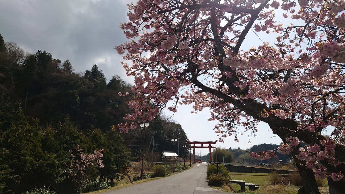 日帰り佐渡の旅
7：55   新潟港からジェットフォイル
　　　  全席指定で余裕
9：30  レンタカー(前日予約)
　　　  金山→ゴールドパーク
　　　　→北沢浮遊選鉱場跡→度津神社
15：30 レンタカー返却
16：05 両津港からカーフェリー
18：30 新潟港
スーパーで海鮮購入し船内で食べました