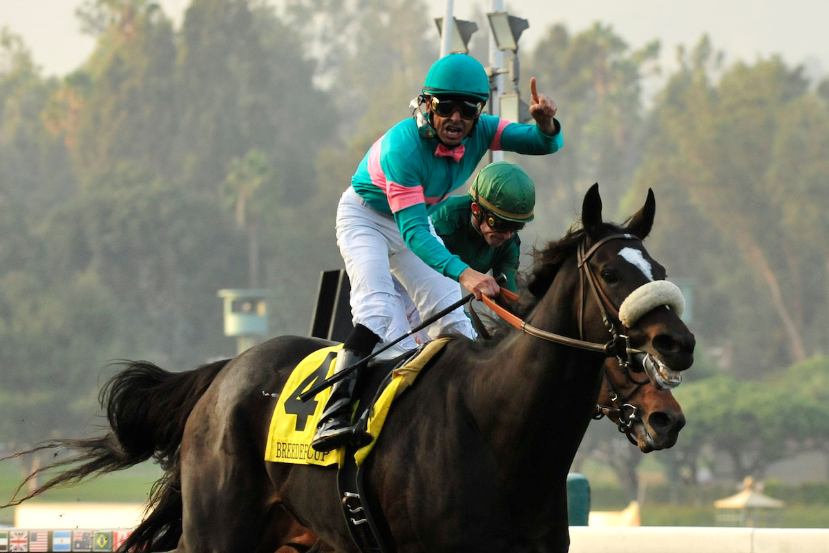 BreedersCup's tweet photo. All hail the queen! It's Zenyatta's 21st birthday! 👑 🎁 🎉 

🏆 2 Breeders' Cup wins, including beating the boys in the 2009 Classic!
🏆 19 career wins
🏆 $7.3M in earnings

The forever Queen Z, happiest of birthdays!

Favorite Zenyatta memory? Go!

📸 @eclipsesportswire https://t.co/93oUQRgUQK
