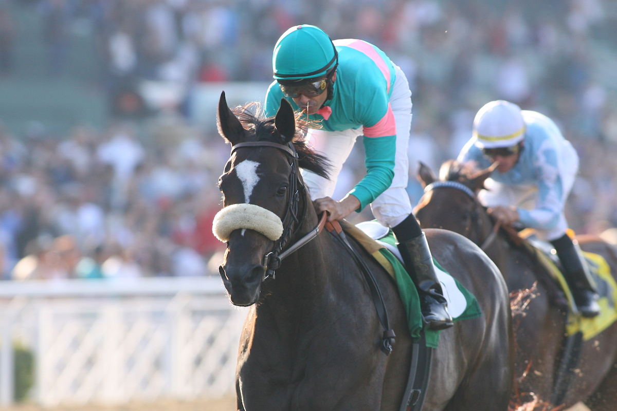 BreedersCup's tweet photo. All hail the queen! It's Zenyatta's 21st birthday! 👑 🎁 🎉 

🏆 2 Breeders' Cup wins, including beating the boys in the 2009 Classic!
🏆 19 career wins
🏆 $7.3M in earnings

The forever Queen Z, happiest of birthdays!

Favorite Zenyatta memory? Go!

📸 @eclipsesportswire https://t.co/93oUQRgUQK