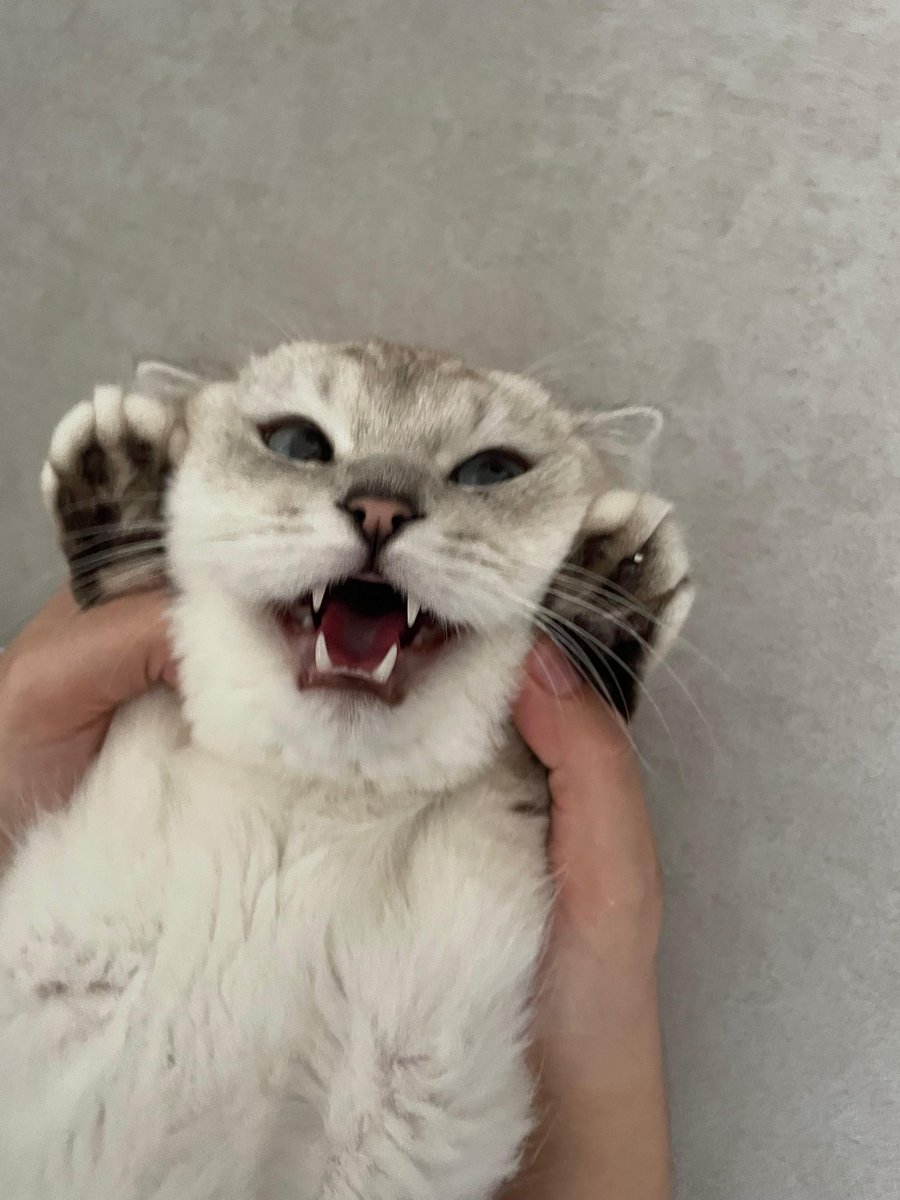 BU BIR YARDIN CAGRISIDIMR İMYAT