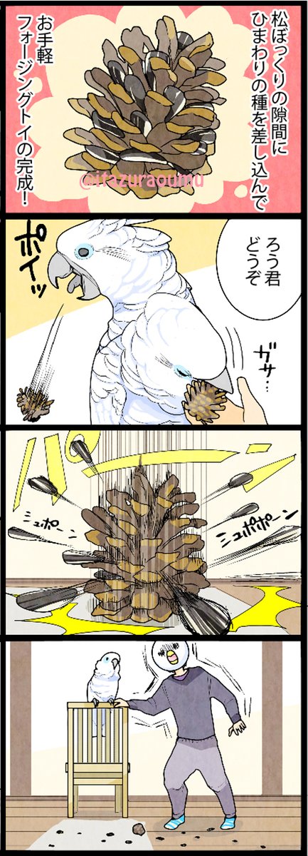 オウムに渡したフォージングトイ。
1枚ずつバラしていって、間に挟まったタネをとって… 