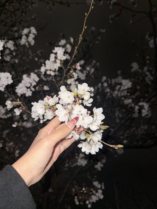 じゅり(JURI)のTwitter画像49