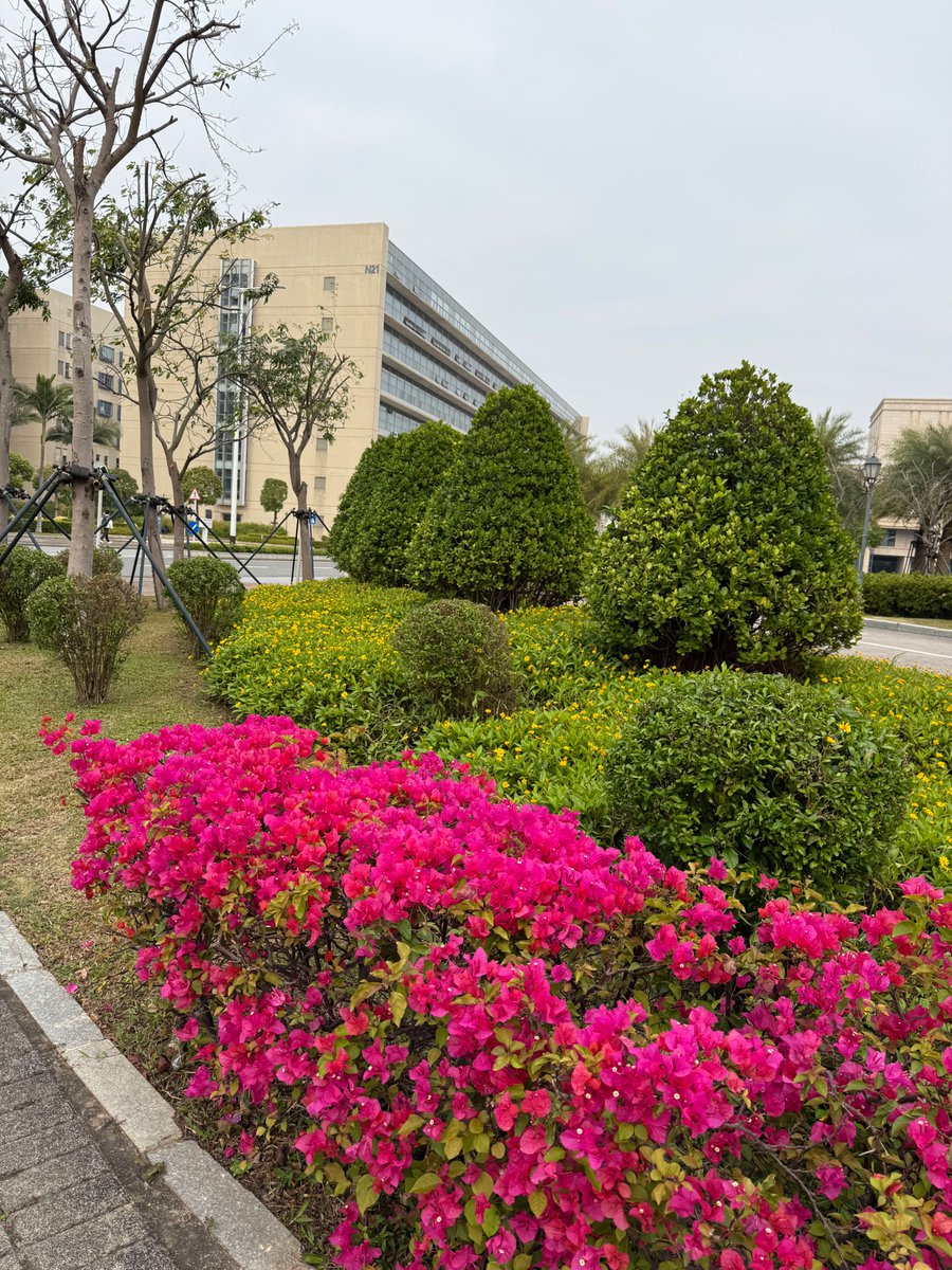Christian Montag (@chrismontag77) on Twitter photo First work day at <a href="/UM_1981/">University of Macau</a>! Happy to serve as Distinguished Professor of Cognitive and Brain Sciences from now on at University of Macau 🇲🇴🇨🇳. Great day on this gorgeous campus! First work day at <a href="/UM_1981/">University of Macau</a>! Happy to serve as Distinguished Professor of Cognitive and Brain Sciences from now on at University of Macau 🇲🇴🇨🇳. Great day on this gorgeous campus!