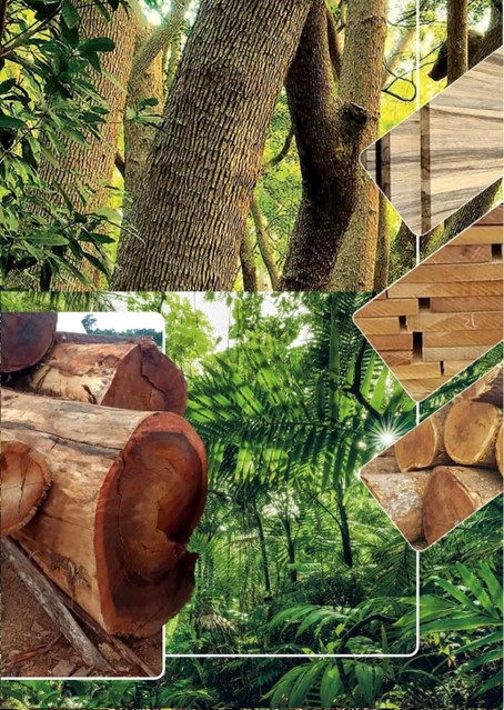 IntercontactKft's tweet photo. Tropical Timber, Wood Products from Africa – 来自非洲的热带木材, 木制品
You can read this business offer in EN – CN – HU languages
Information: https://t.co/M7Gqsd0Skc https://t.co/7NHHB3MP5V