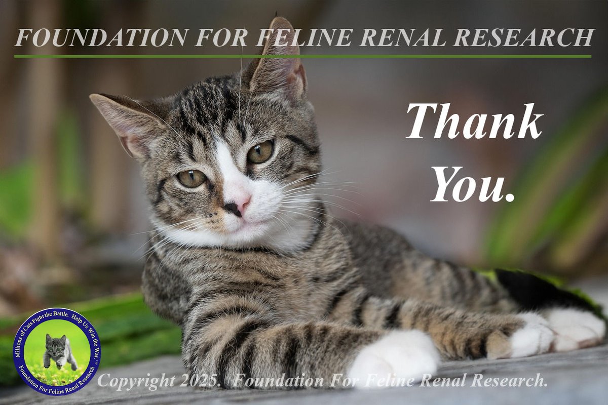 We thank, from the bottom of our hearts, everyone who donated to support Feline CKD research during our annual awareness campaign.  With your help, we WILL create a healthier, brighter future for cats.  
#Cats, #FelineCKD.
