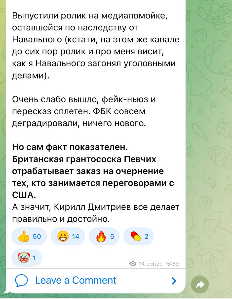 Maria Pevchikh tweet media