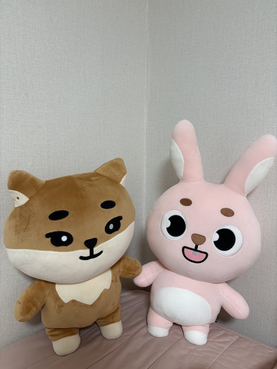 사이좋게 잘 지내야 한다아