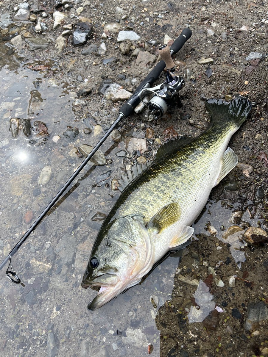 あきらしぇんしぇ〜　和田漁具店 tweet media