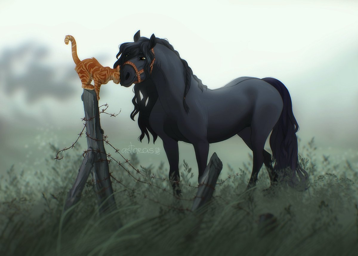 Cold misty morning becomes much more cozy in a company of a little friend 🐱

Сmm for Speppenfire!