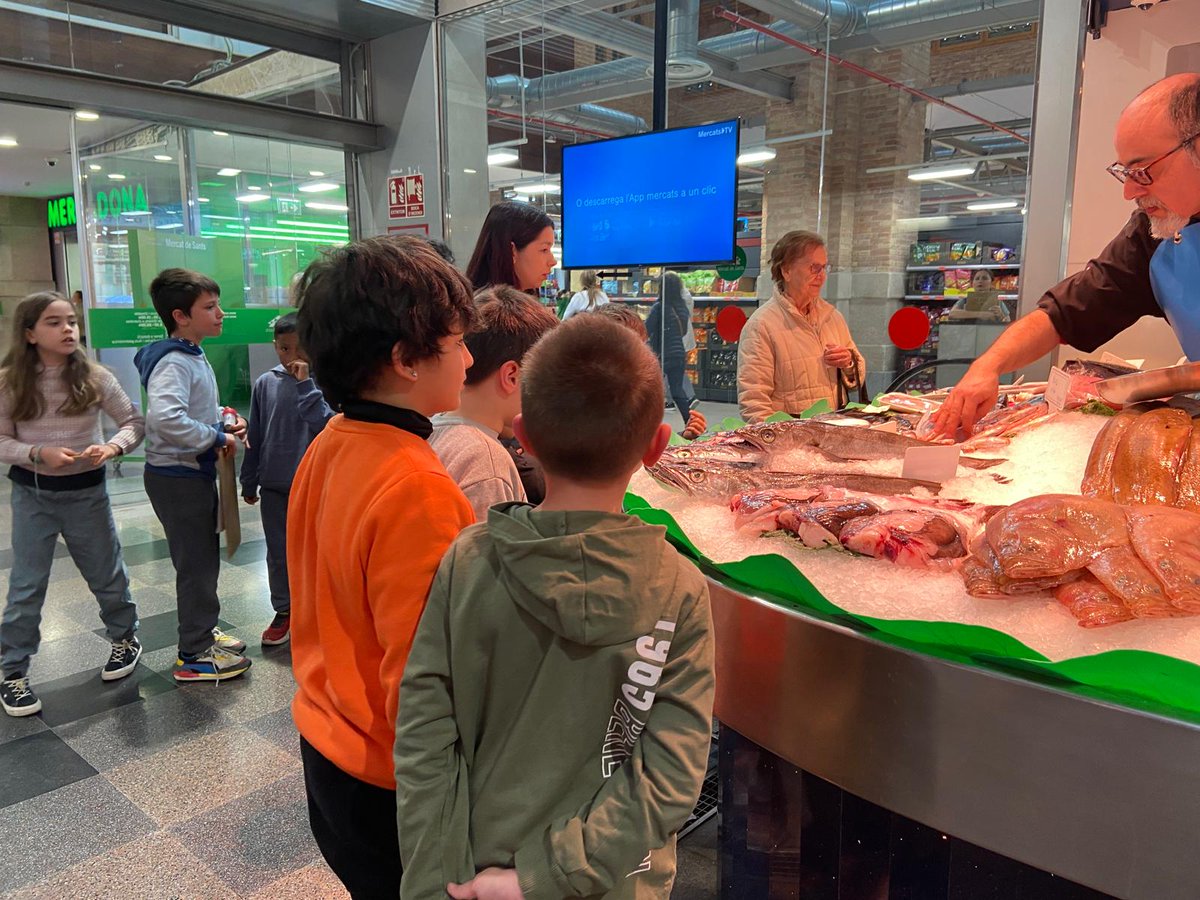 Els nens i nenes de 3r han anat al mercat de Sants a comprar un verat i han observat els peixos que han estat estudiant en el projecte de la pesca.