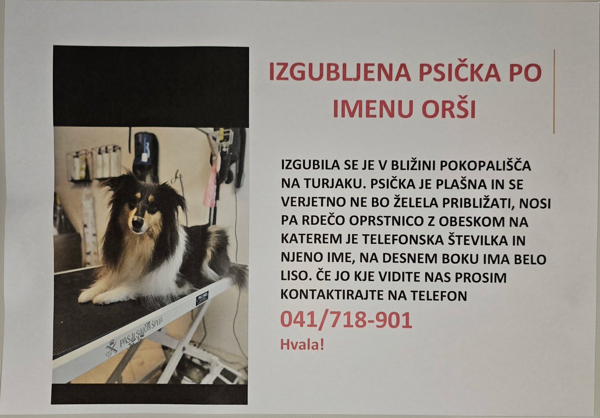 Delim, če ima kdo kakšno informacijo &amp; prosim za RT 😢