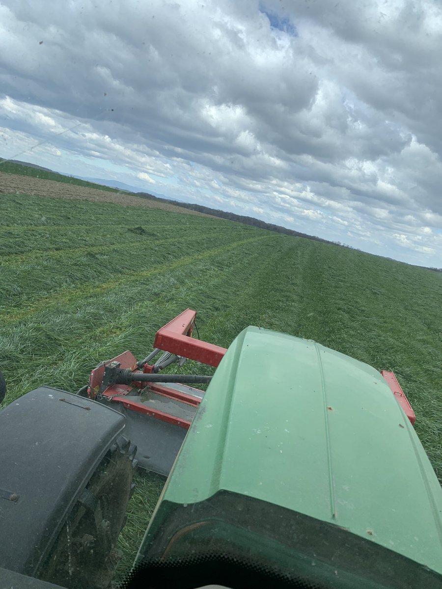 Bachty68's tweet image. Il fait un peu frais pour attaquer les semis de maïs 🌽 alors on fauche l’herbe  . 
1 ère coupe rgi trèfle ☘️ . 
#Fragtw #Sundgau #Alsace #Lait