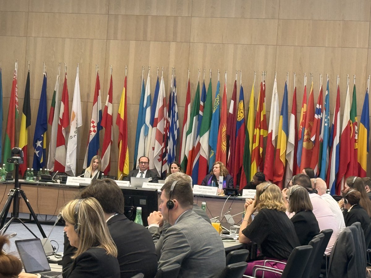 MAAN Institute for Diplomacy and Global Affairs tweet media