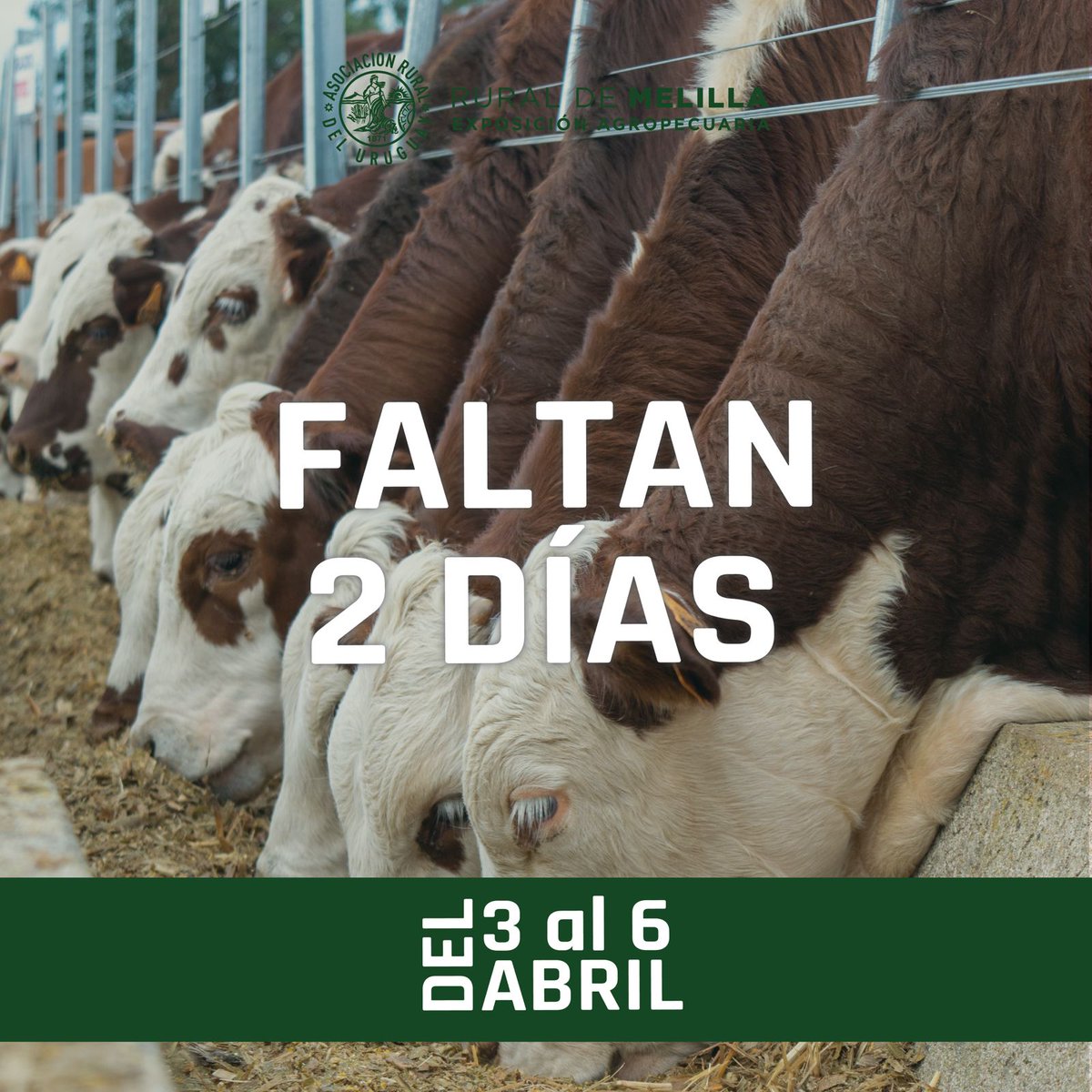 YA LLEGA !!!
RURAL DE MELILLA 2025
Exposición Agropecuaria
📅 Del 3 al 6 de abril

Tecnología, innovación y capacitación en una exposición que reúne lo mejor del agro.
Demostraciones en vivo, remates, tendencias y más.

👉 Más info en: expomelilla.com.uy
