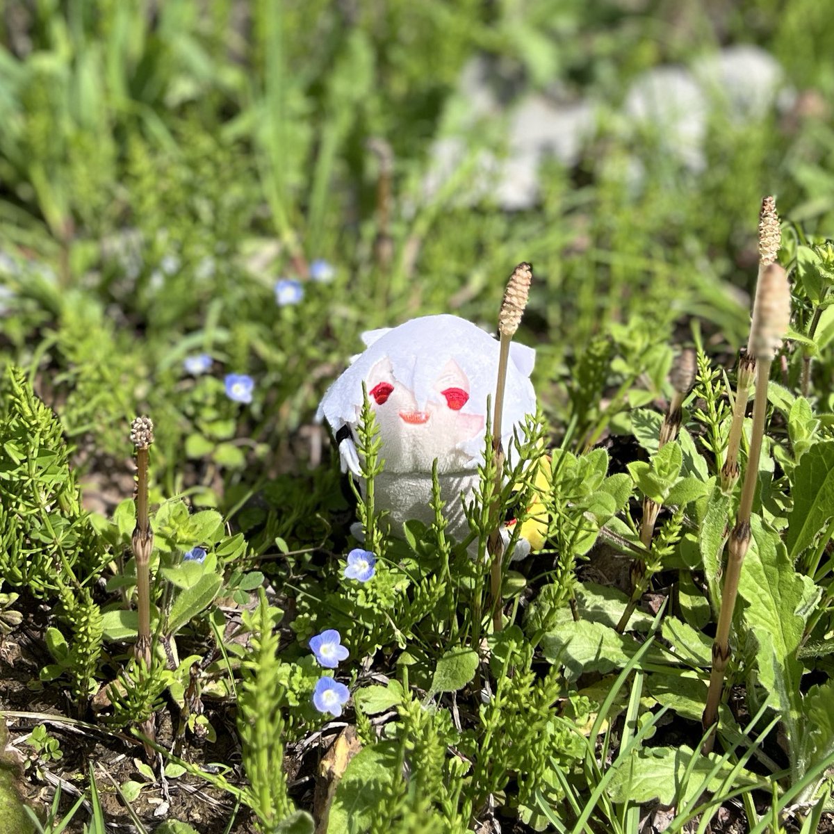 4月になったのでいいねした人にいいことがありますように