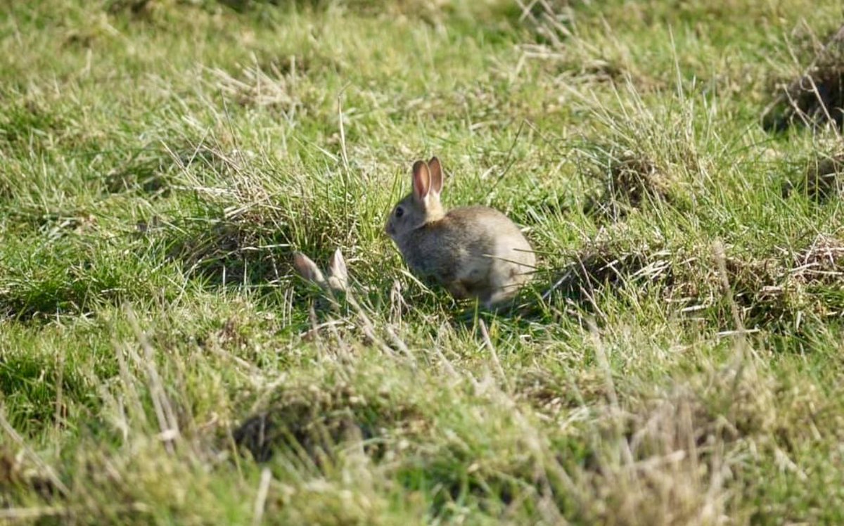 Good Tuesday morning,
 As April begins, may God's blessings and grace guide you, bringing peace, joy, and abundance throughout this new month.🌼