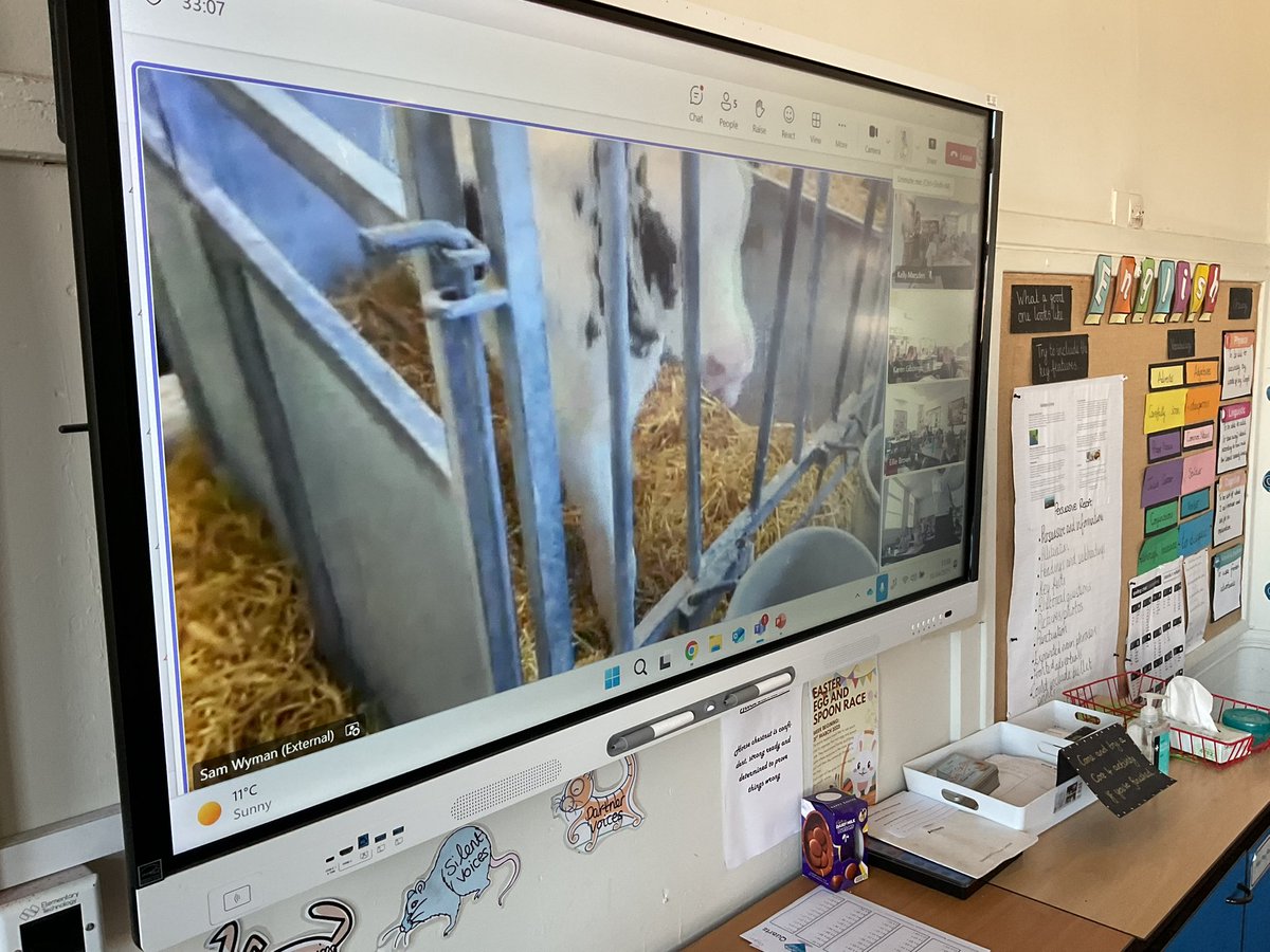 StanleyGroveAcademy tweet media