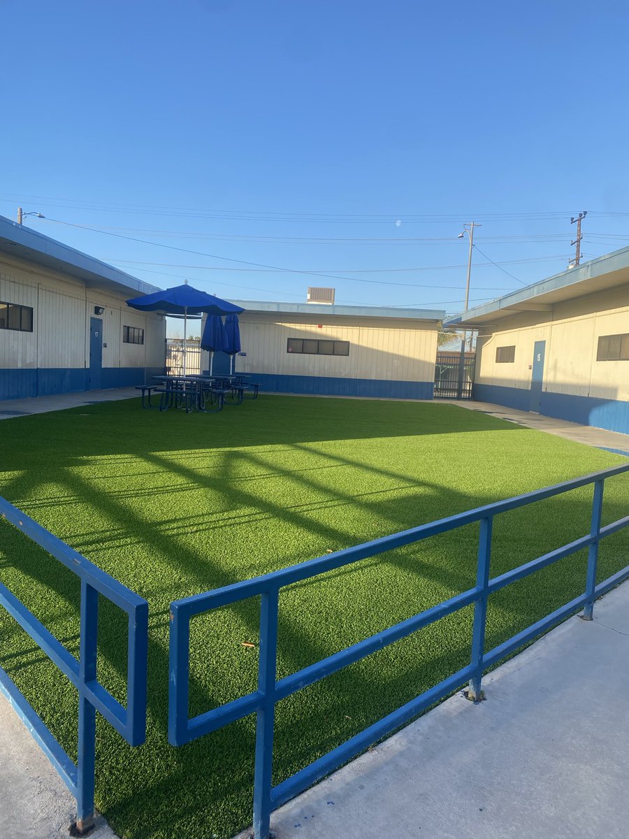 Azucena Paez-Herrera tweet media