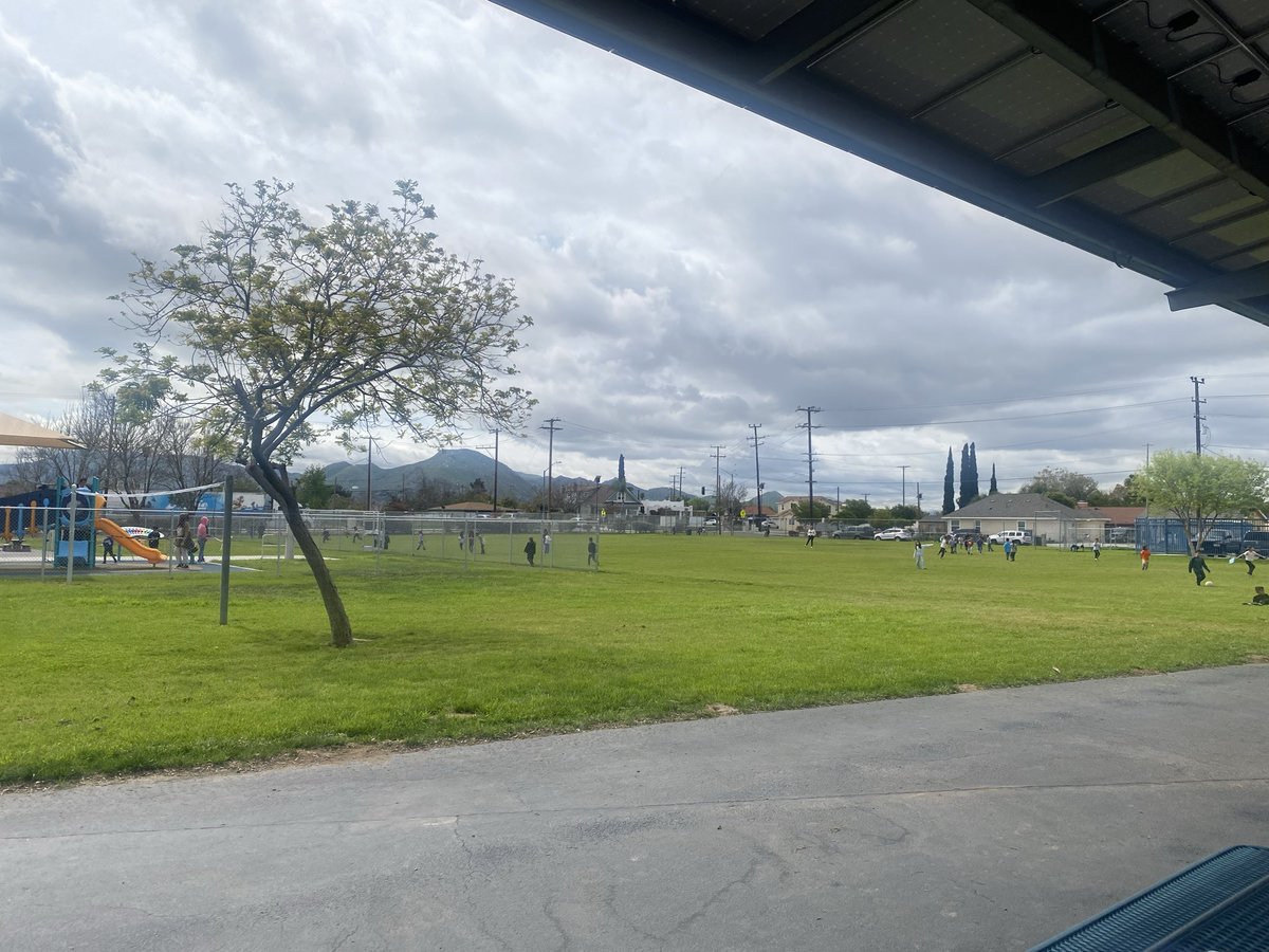 Azucena Paez-Herrera tweet media