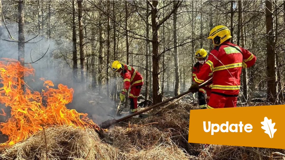 Moors Valley is currently experiencing another fire incident in the forest.
As the rangers work to manage the situation, the decision has been made to close the car park and restrict access to the site, including the Visitor Centre and Restaurant.