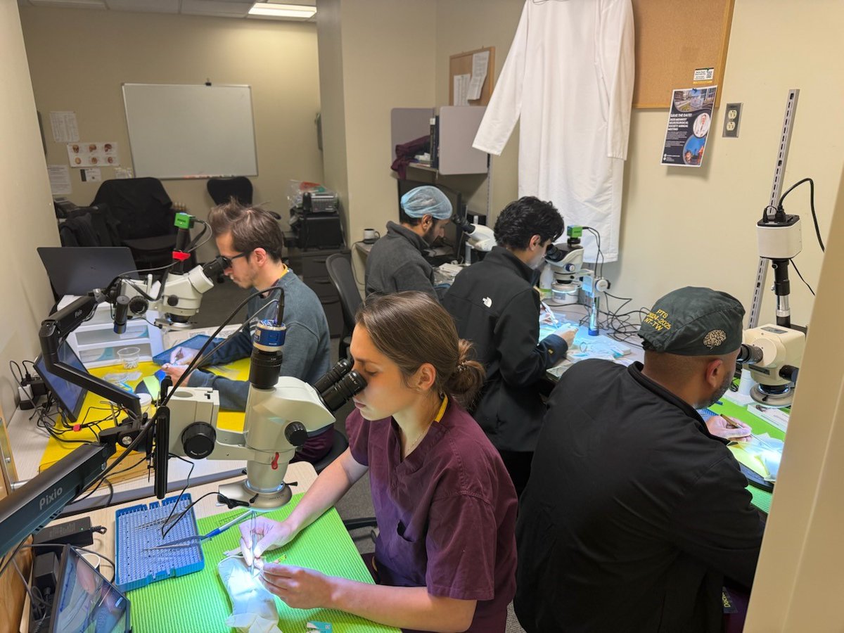 Microsurgery Training
