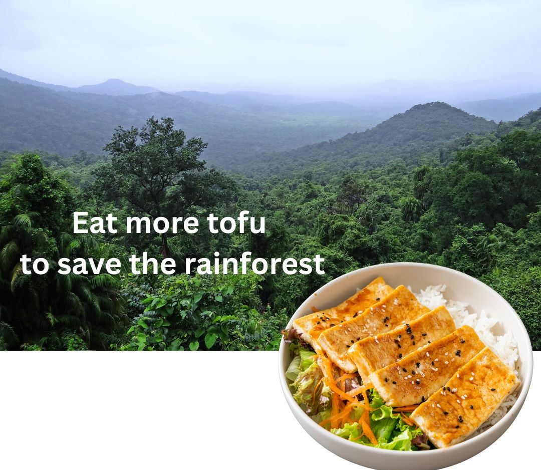 TheVeganRD's tweet image. A lot of soybeans are grown on land that used to be rain forest which is awful for the planet. And while it might not seem to make sense, the solution is to eat more tofu and other soy foods (or any other plant foods). theresistancekitchen.substack.com/p/your-tofu-sc…
