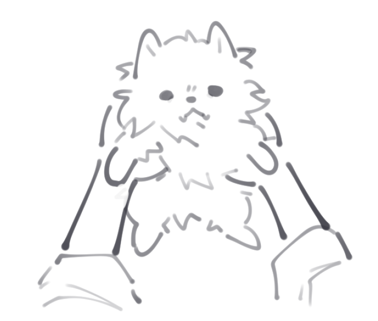 voiceboxes1's tweet image. we recently got a pomeranian puppy