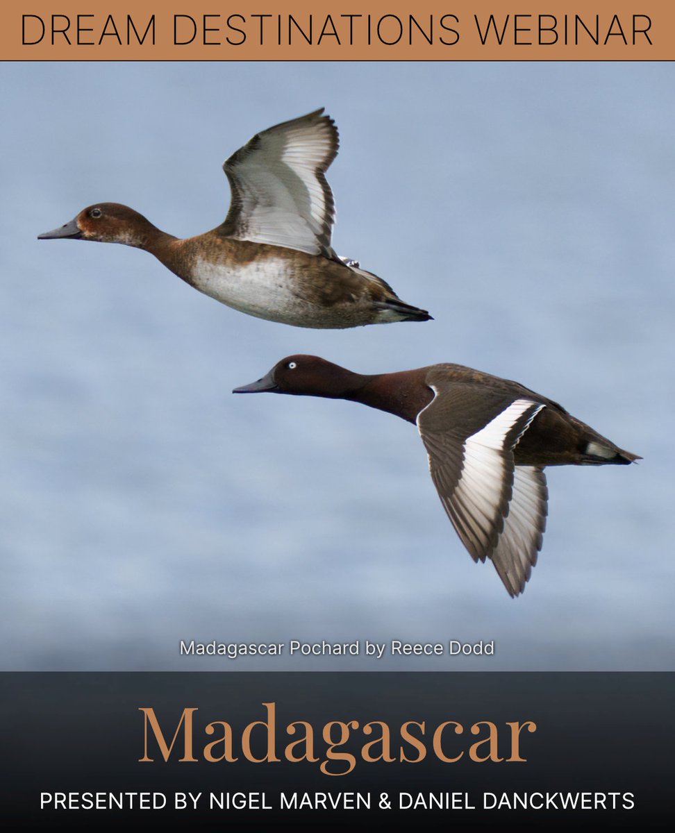 Don’t miss this deep dive into one of the world’s most astonishing natural landscapes.

Date: Wednesday, April 2, 2025

Time: 12:00 PM (New York), 5:00 PM (London), 6:00 PM (Johannesburg)

To sign-up, follow this link

us02web.zoom.us/webinar/regist…